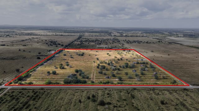 2321 Sneed Road, Fort Pierce, FL 34945