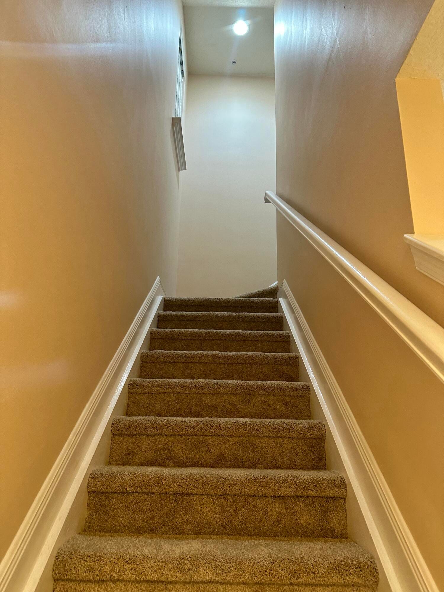 155 W Indian Crossing Circle — photo 12