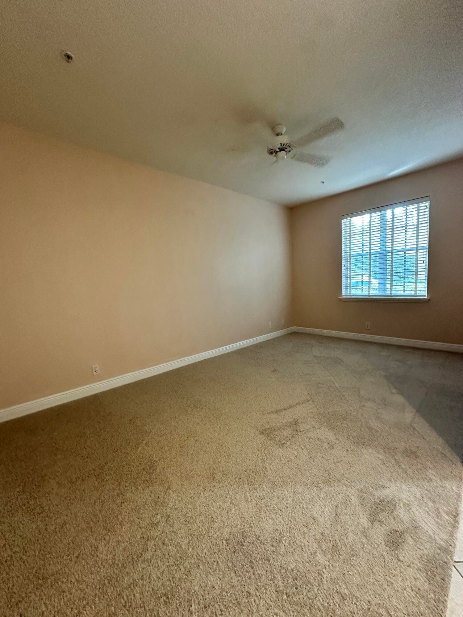 155 W Indian Crossing Circle — photo 4