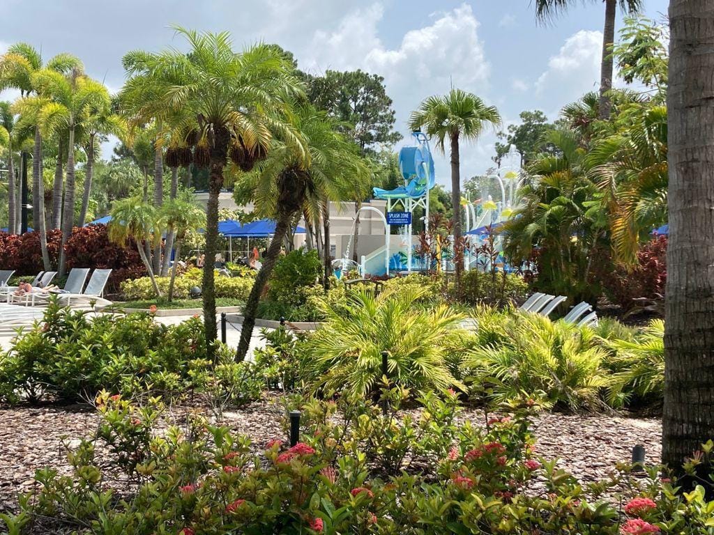 14501 Grove Resort Avenue, Winter Garden, FL 34787 photo 18
