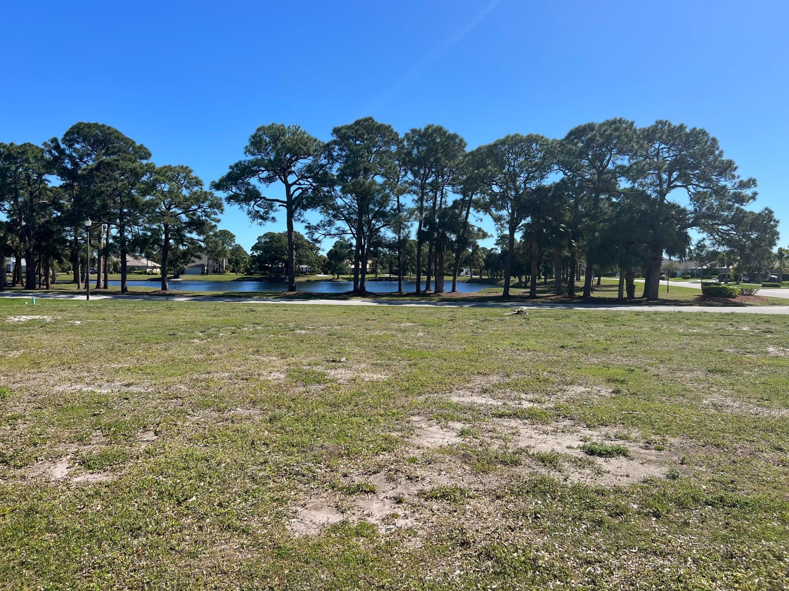 4310 Gator Trace Circle — photo 8