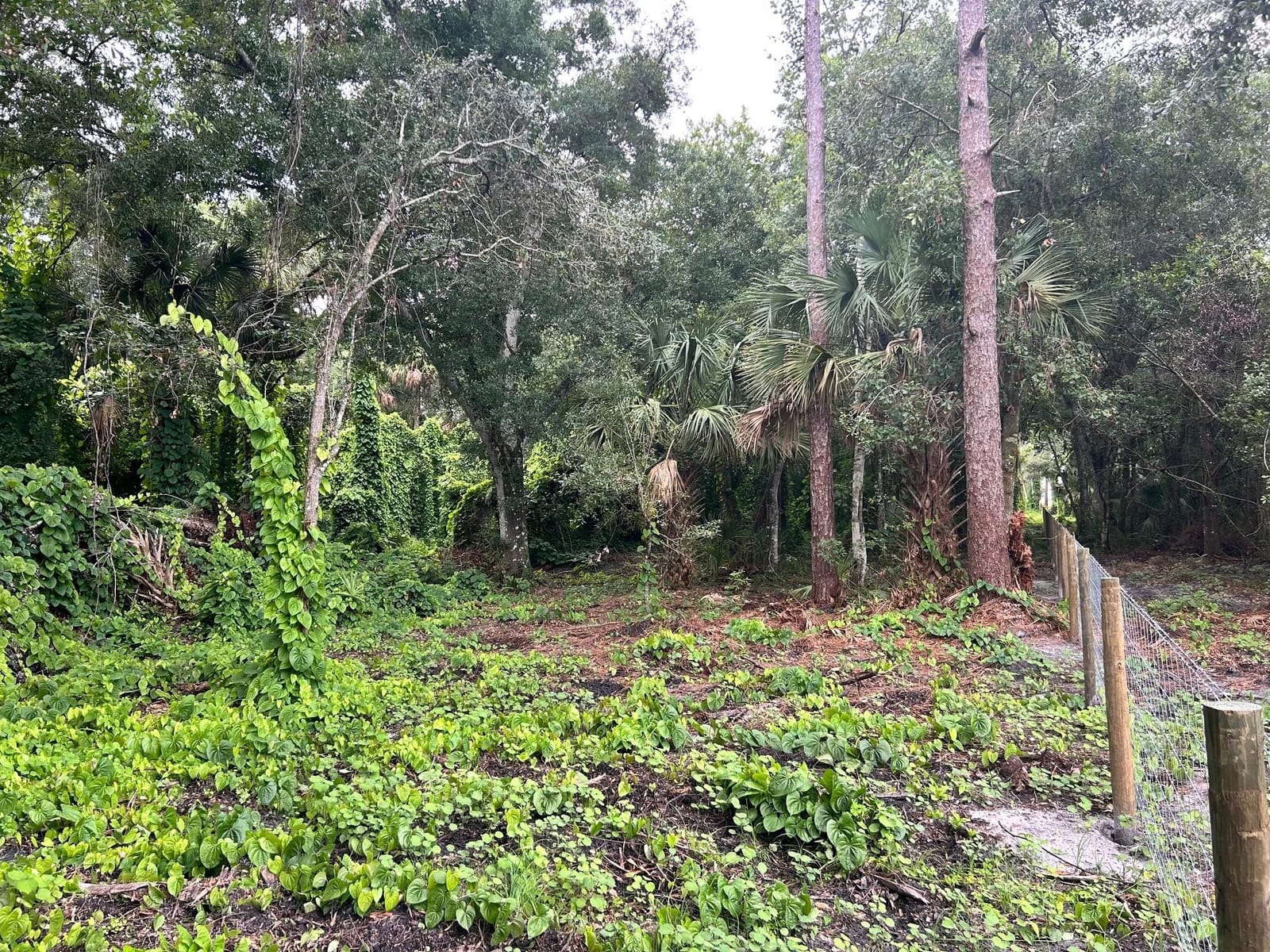 640 NE 144th Drive, Okeechobee, FL 34972 photo 3