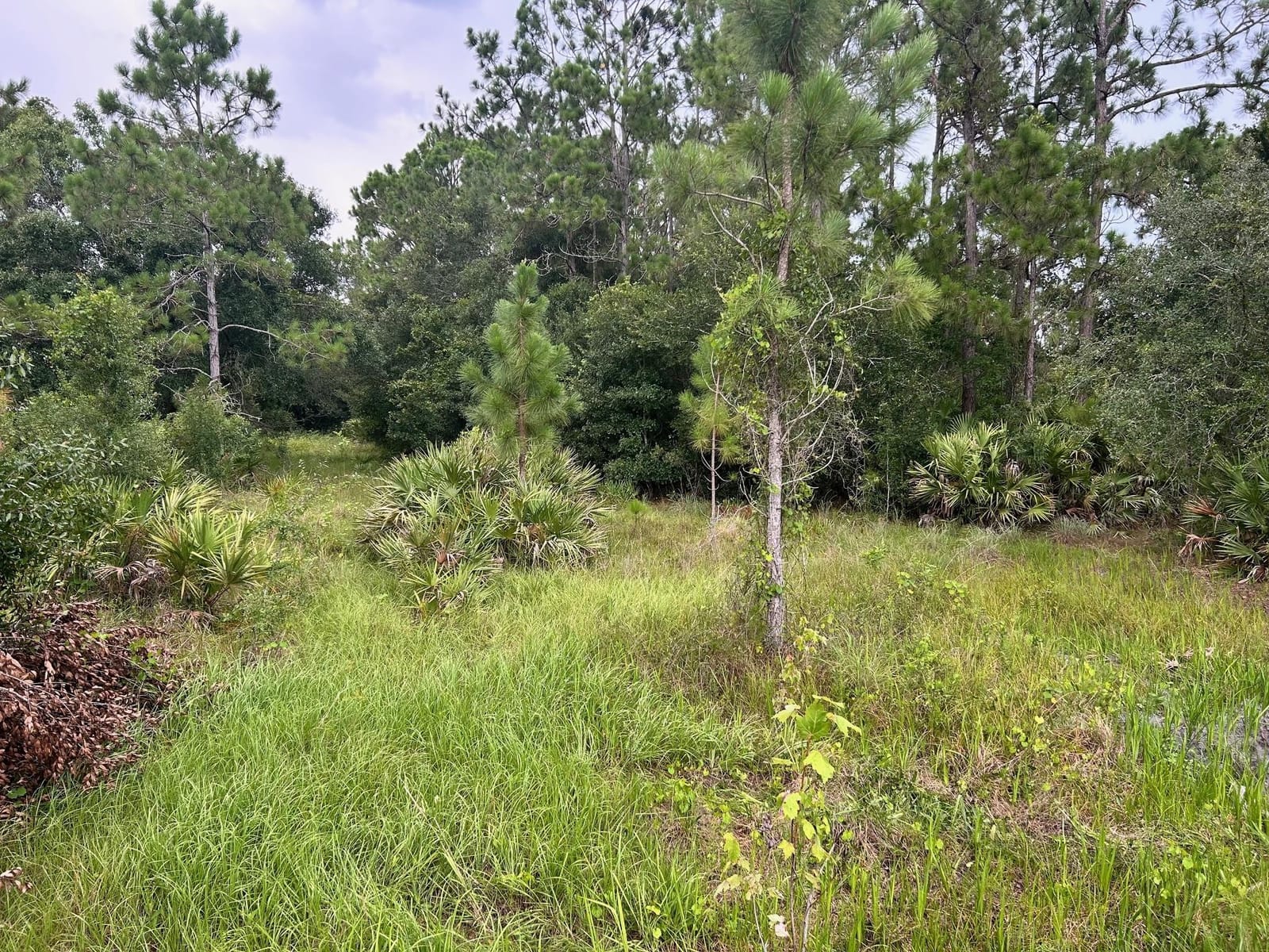 640 NE 144th Drive, Okeechobee, FL 34972 photo 4