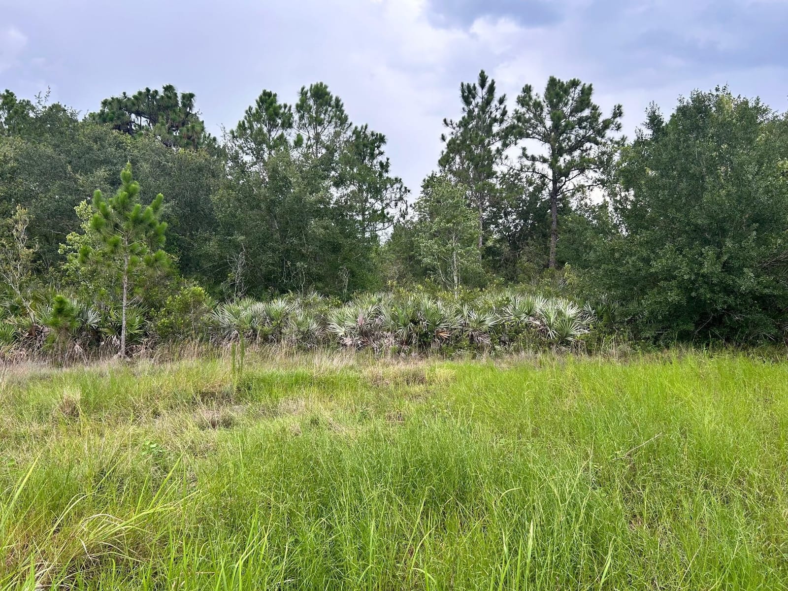 640 NE 144th Drive, Okeechobee, FL 34972 photo 5