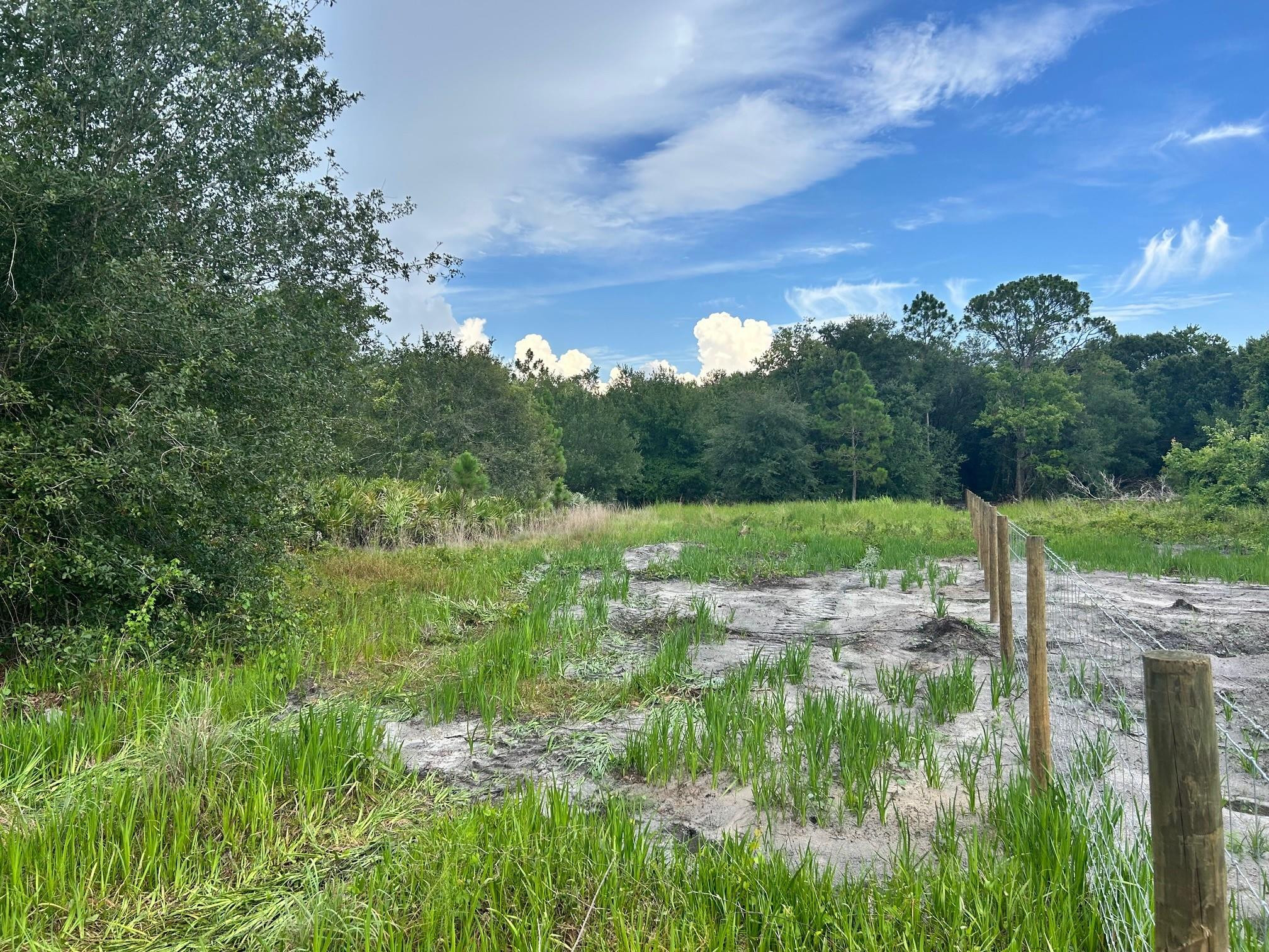 640 NE 144th Drive, Okeechobee, FL 34972, Okeechobee