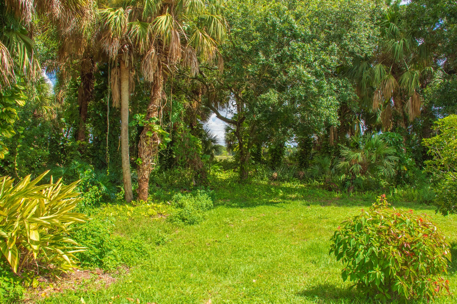 14406 Aguila Avenue, Fort Pierce, FL 34951 photo 23