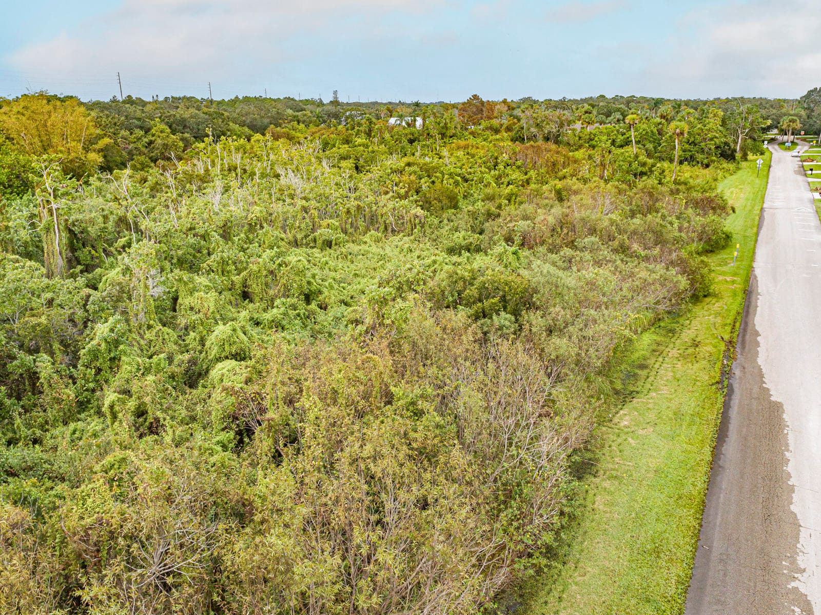 0 Milton Rd & River Woods Drive — photo 8