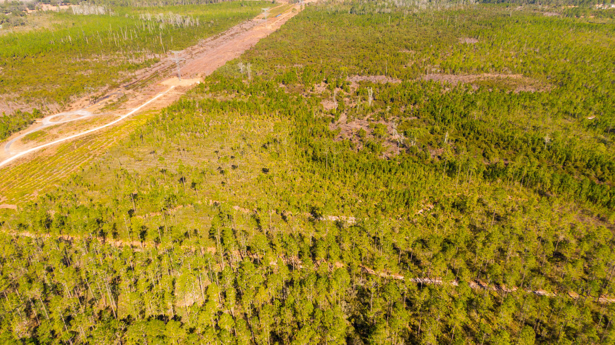 0000 Ne 125th Ave, Fort McCoy, FL 32134, Fort McCoy