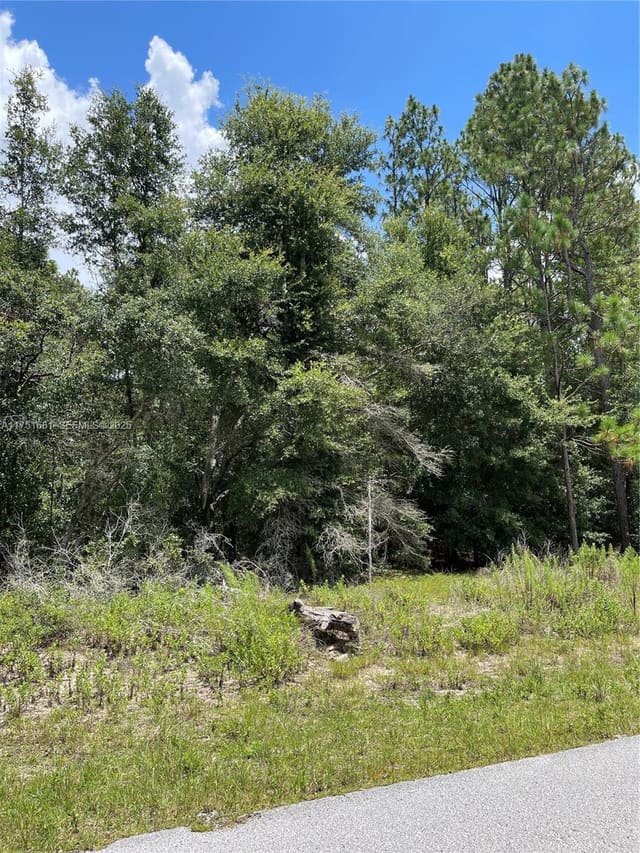tbd SW Tbd 59th Lane, FL 34431