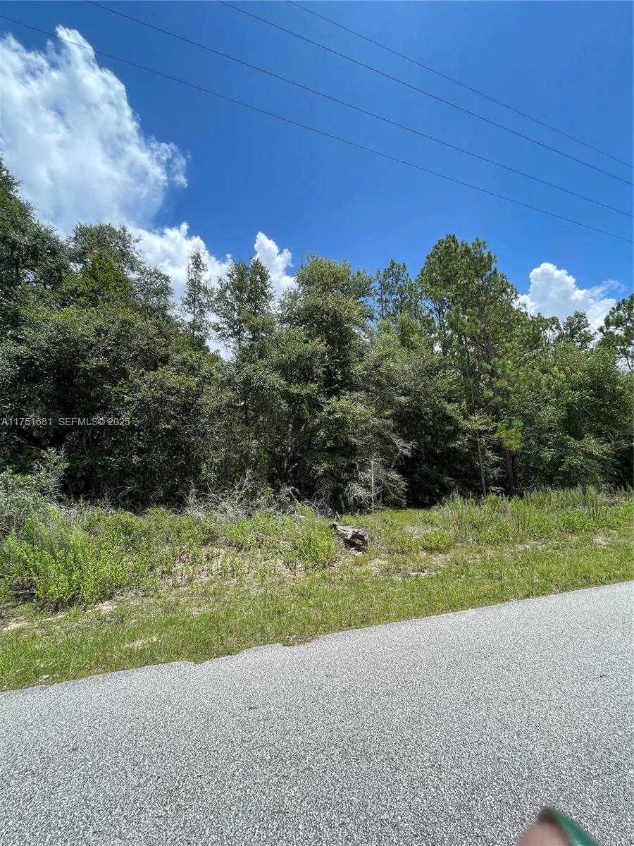 tbd SW Tbd 59th Lane, FL 34431 photo 2