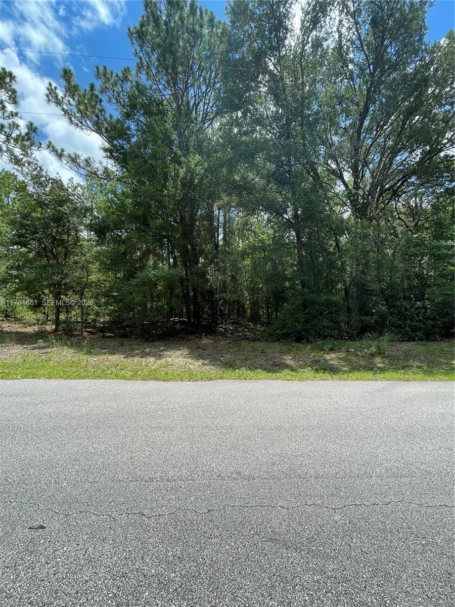 tbd SW Tbd 59th Lane, FL 34431 photo 14