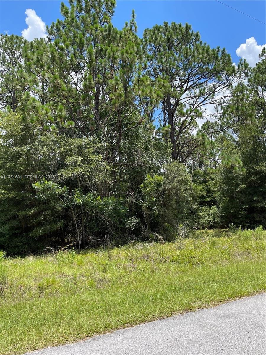 tbd SW Tbd 59th Lane, FL 34431 photo 3