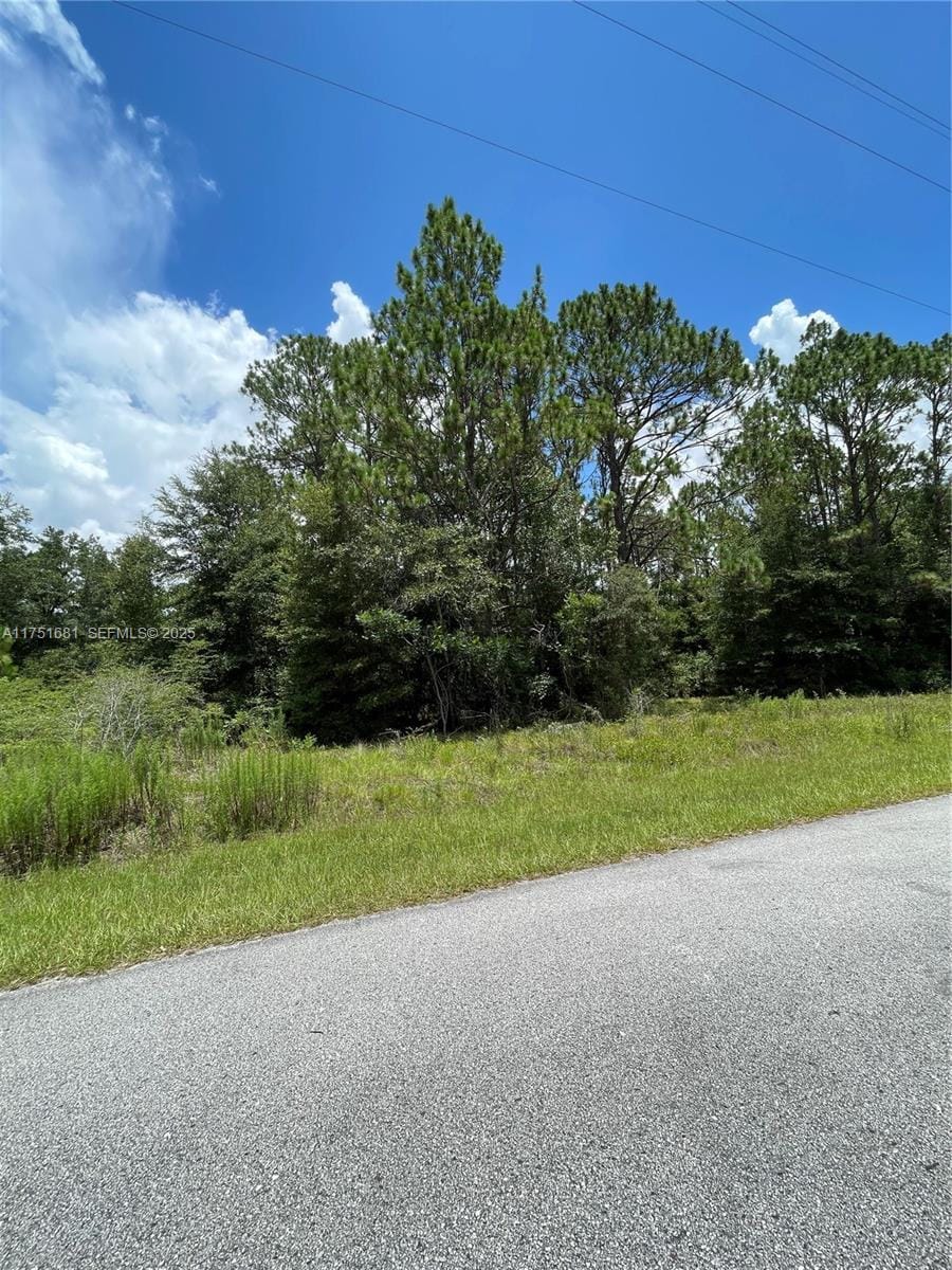 tbd SW Tbd 59th Lane, FL 34431 photo 4