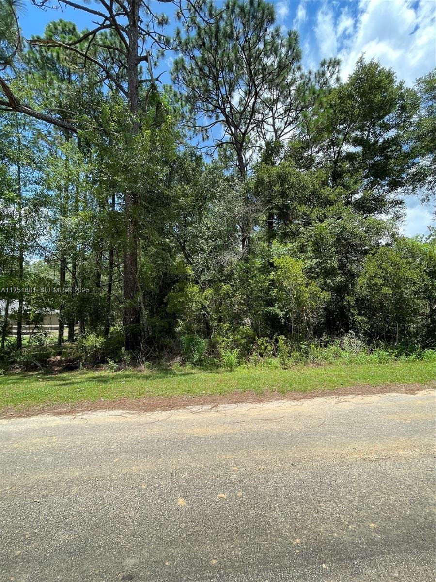 tbd SW Tbd 59th Lane, FL 34431 photo 5