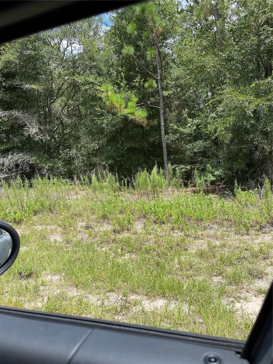 tbd SW Tbd 59th Lane, FL 34431 photo 7