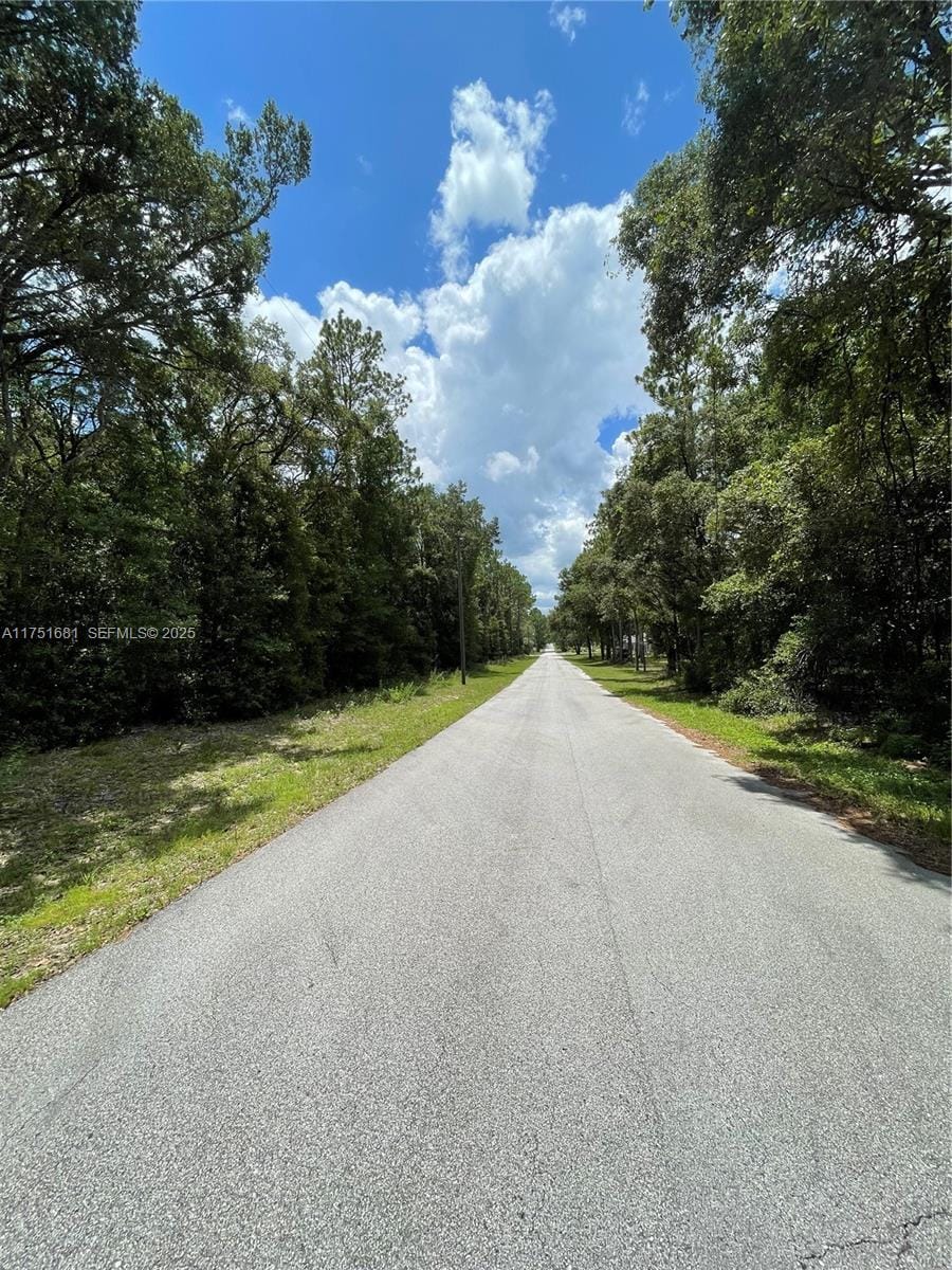 tbd SW Tbd 59th Lane, FL 34431 photo 8