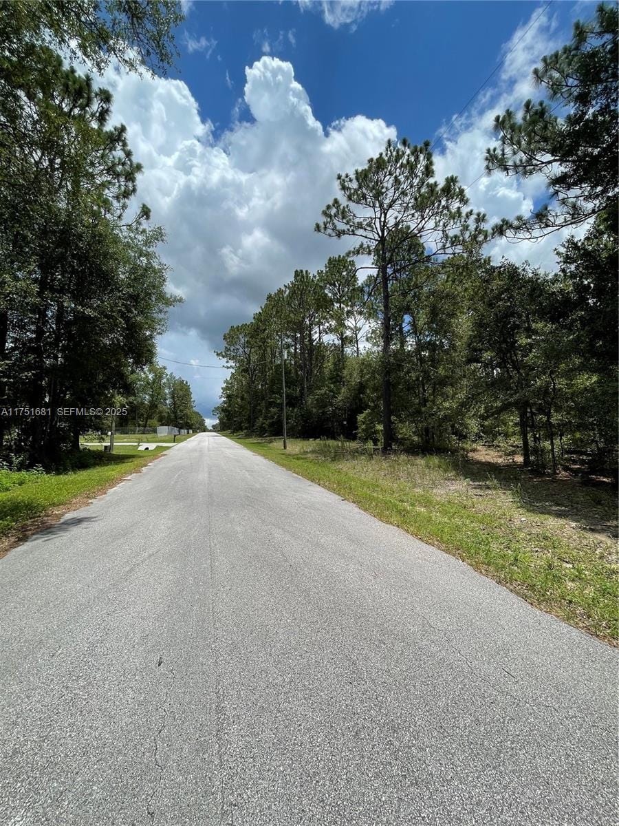 tbd SW Tbd 59th Lane, FL 34431 photo 9