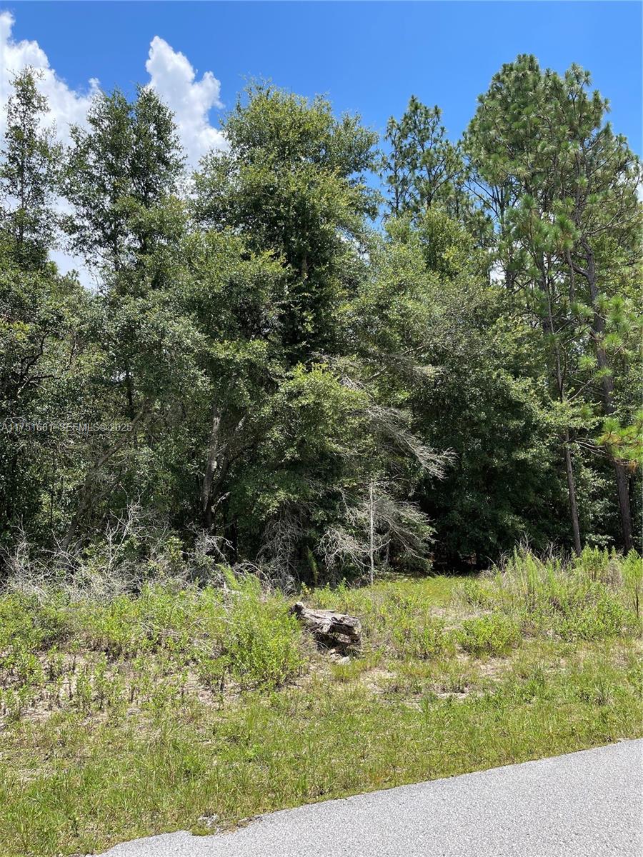 tbd SW Tbd 59th Lane, FL 34431, Dunnellon