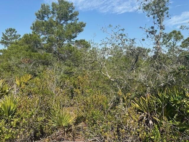 314 Falcon Street, Lake Placid, FL 33852 photo 2
