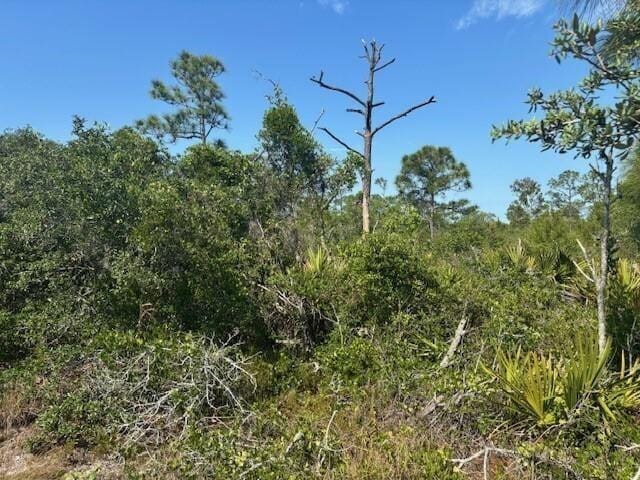314 Falcon Street, Lake Placid, FL 33852 photo 3