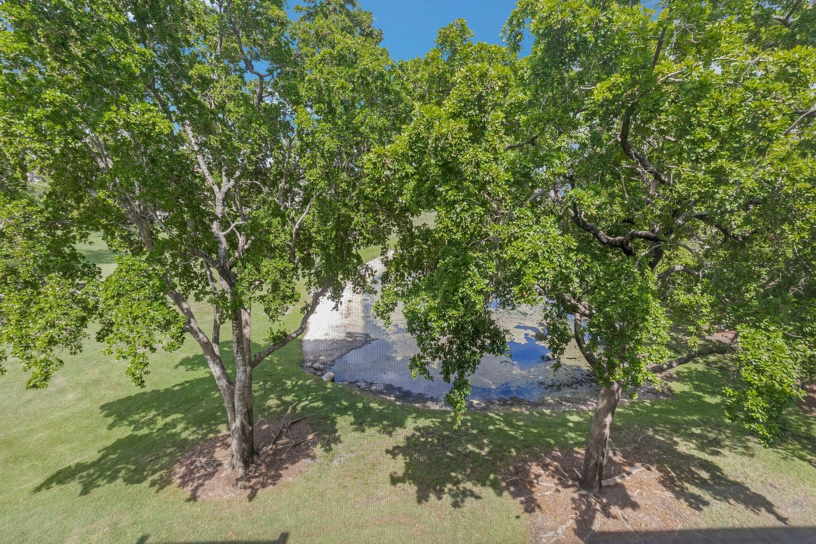 2704 NW 104th Avenue 401, Sunrise, FL 33322 photo 2