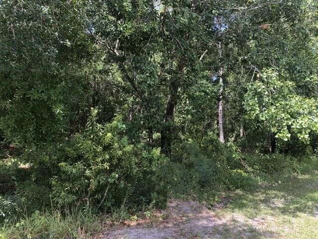 2345 N Yucca Road, Avon Park, FL 33825