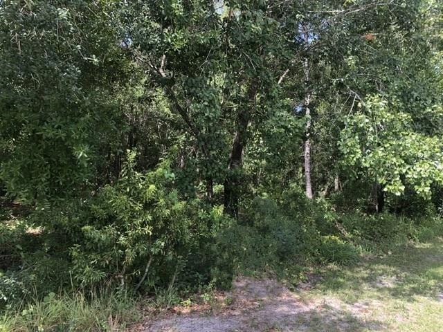 2345 N Yucca Road, Avon Park, FL 33825 photo 1