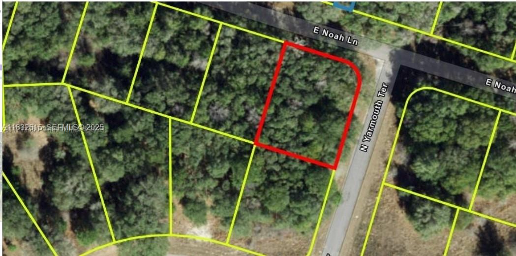 684 E Noah Lane, Citrus Springs, FL 34434, Citrus Springs