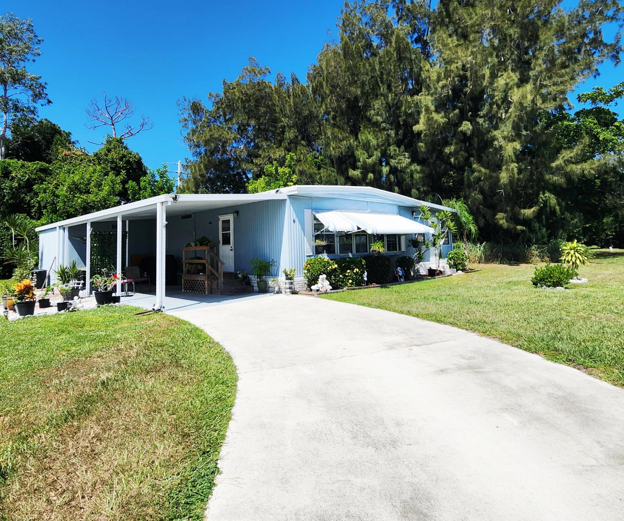 6 Angelita — photo 1