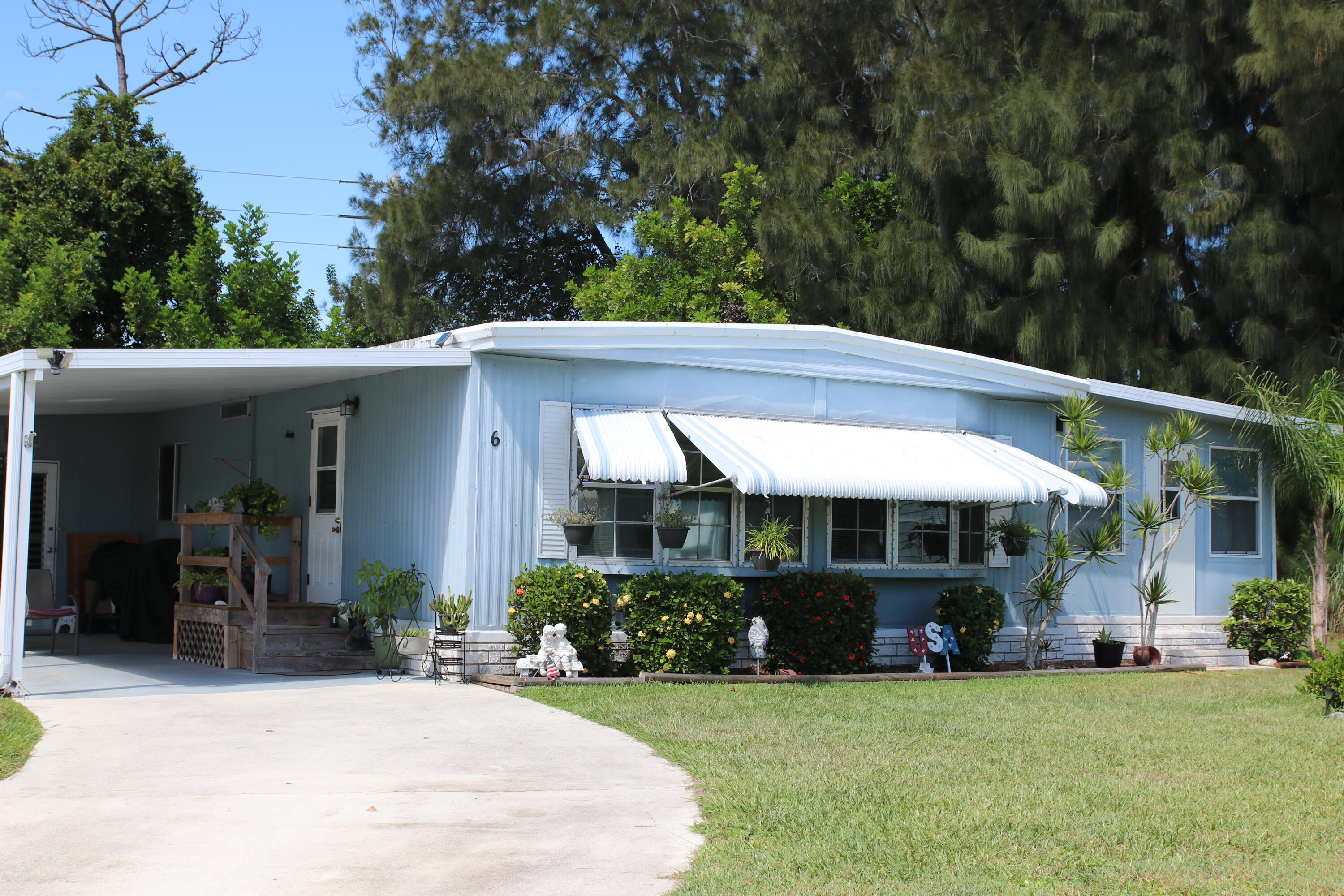 6 Angelita — photo 2