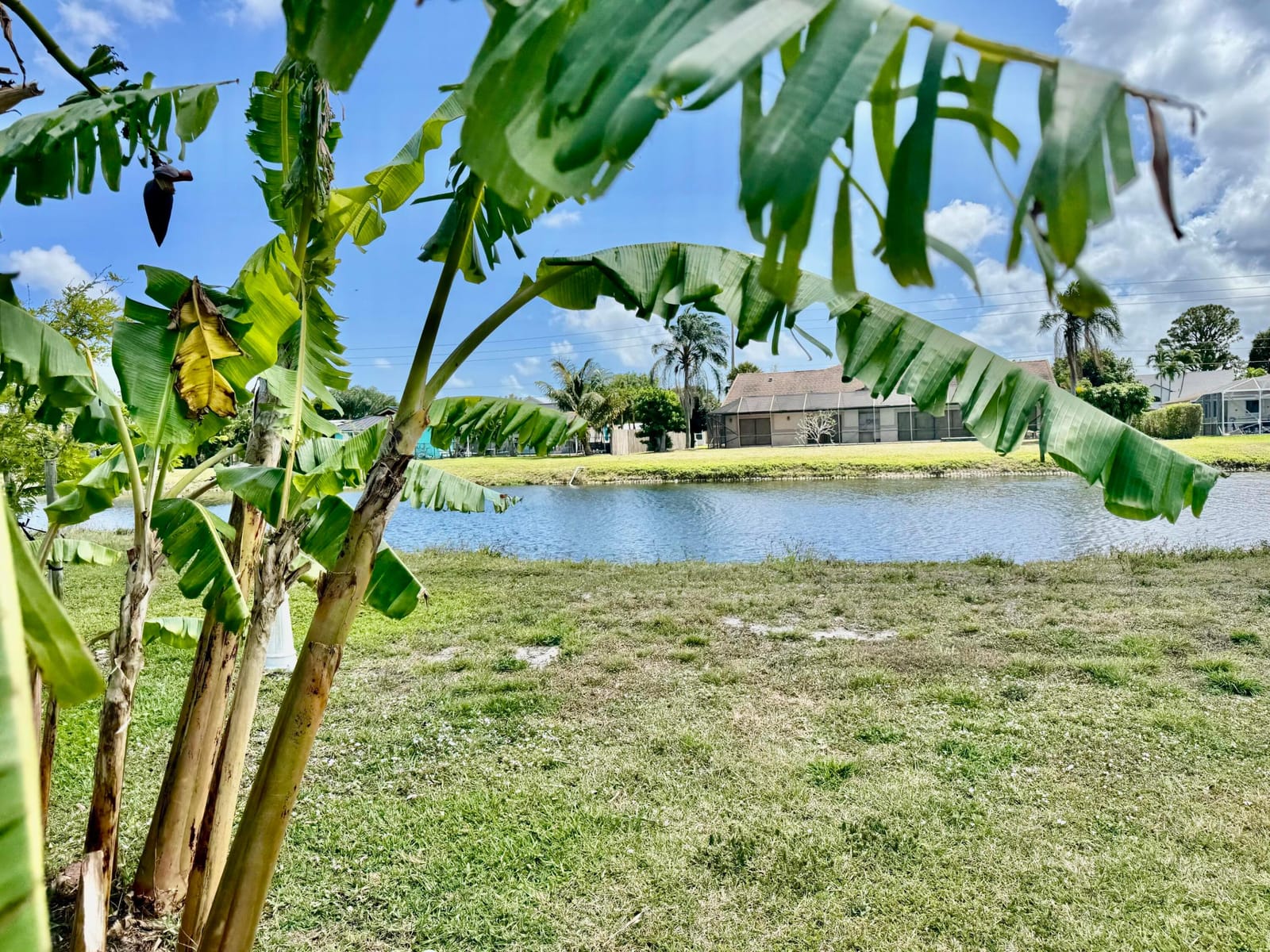 4216 Bobwhite Drive, Boynton Beach, FL 33436 photo 7