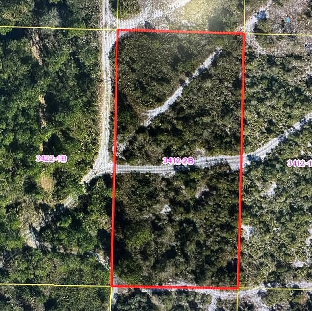 0 Holopaw Groves Road, St. Cloud, FL 34771