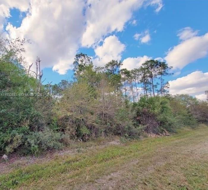 305 Yeehaw Avenue, Clewiston, FL 33040, Clewiston