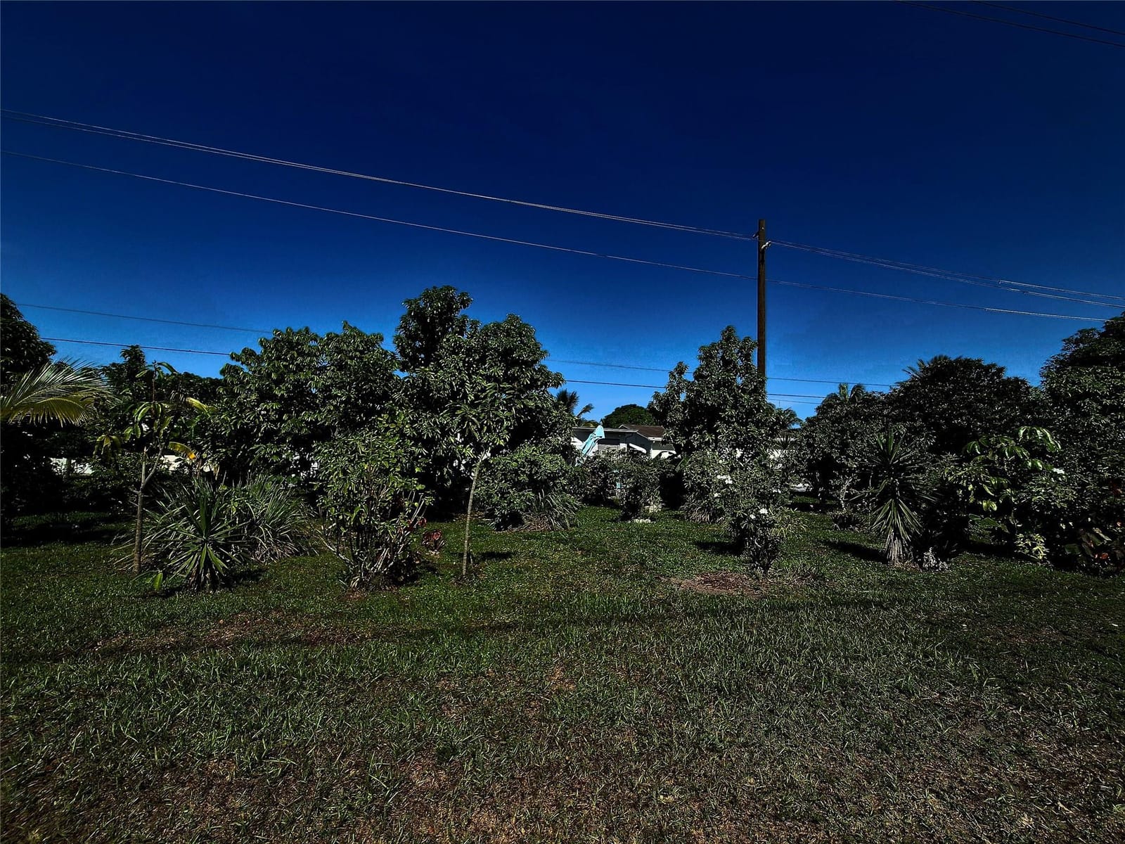 1390 NW 70th Lane, Margate, FL 33063 photo 27