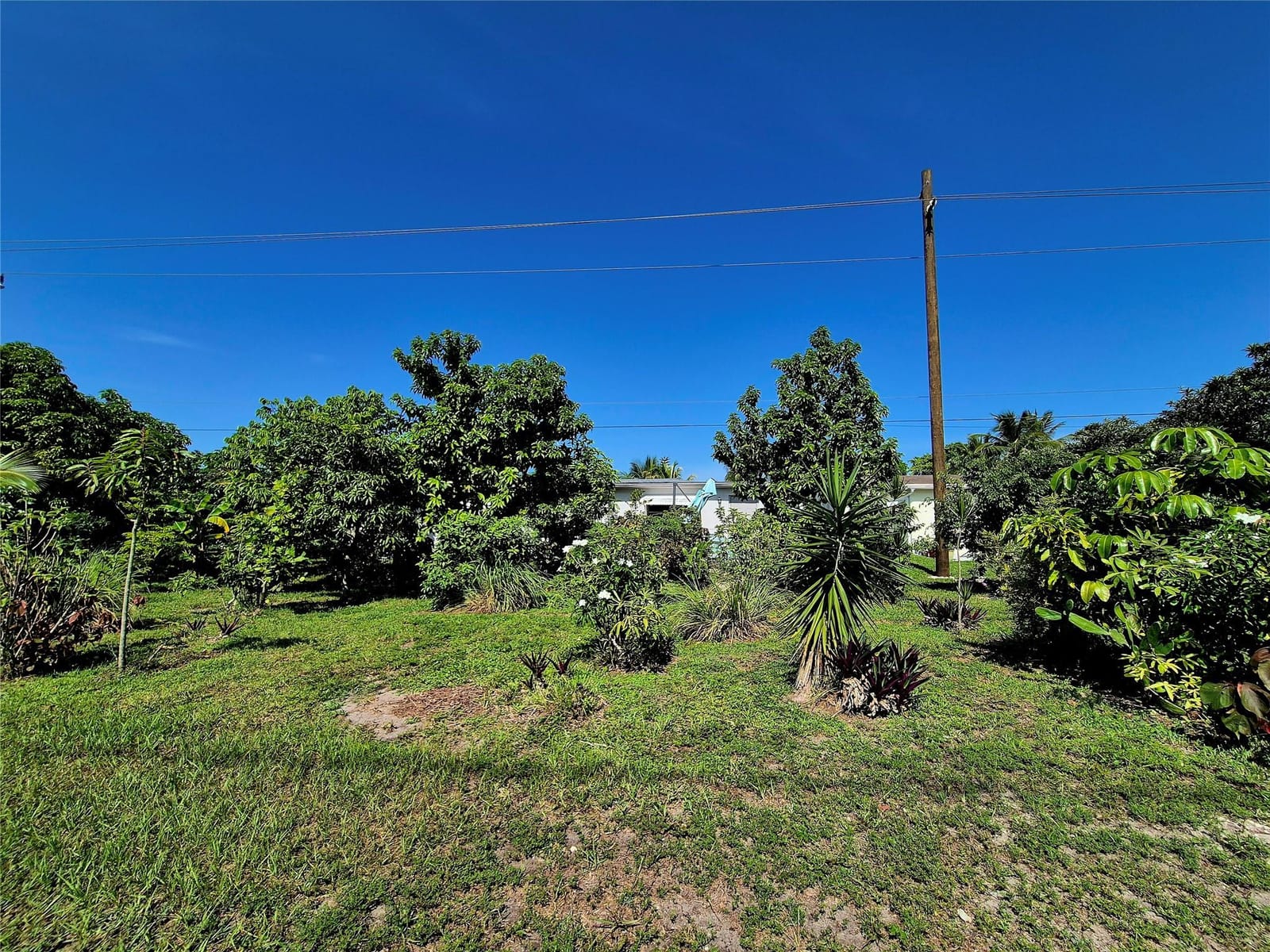 1390 NW 70th Lane, Margate, FL 33063 photo 28