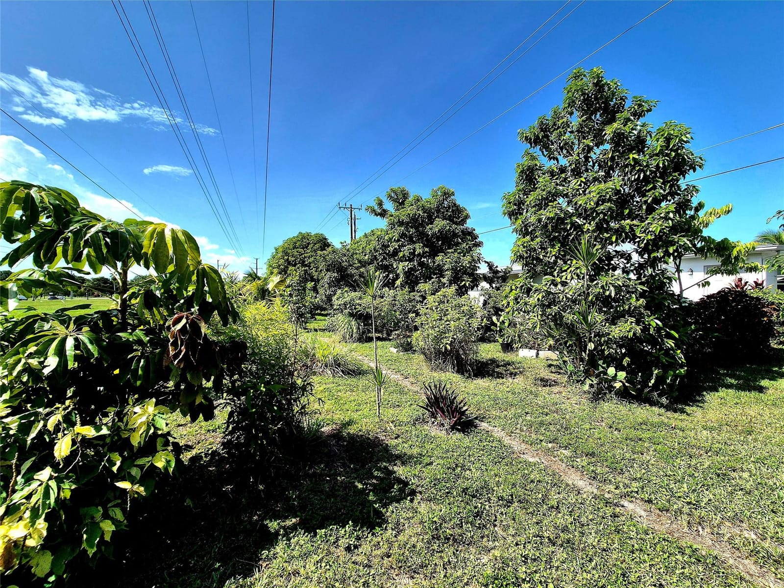1390 NW 70th Lane, Margate, FL 33063 photo 29