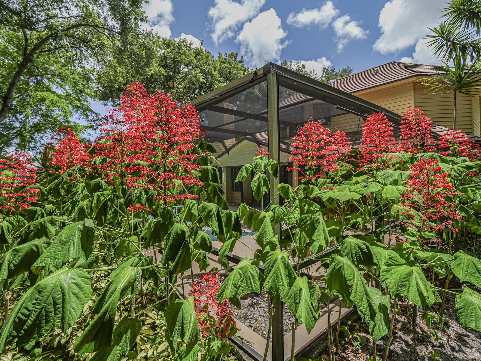 505 Cross Creek Circle — photo 12