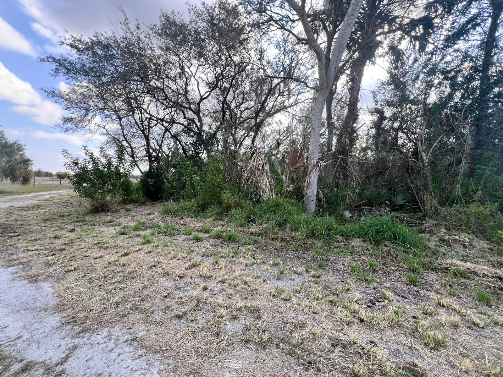 4108 Sebring Lakes Boulevard — photo 2