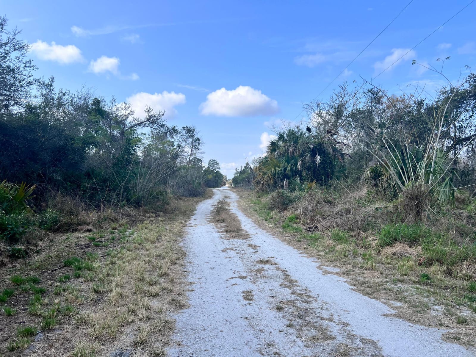 4108 Sebring Lakes Boulevard — photo 3