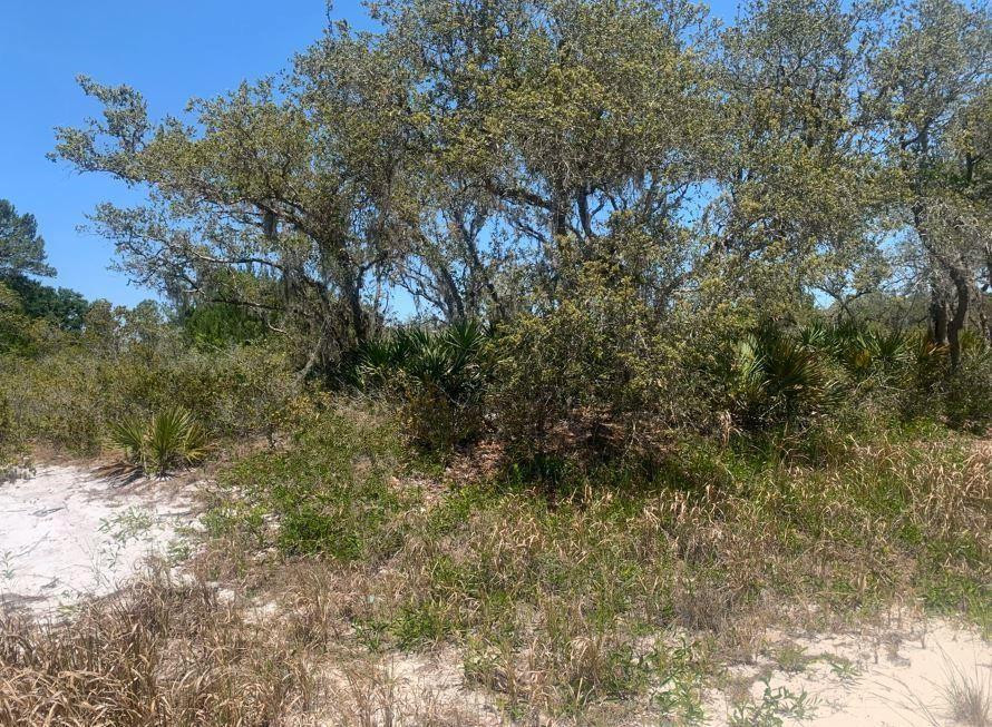 2924 W Quincy Road, Avon Park, FL 33825, Avon Park