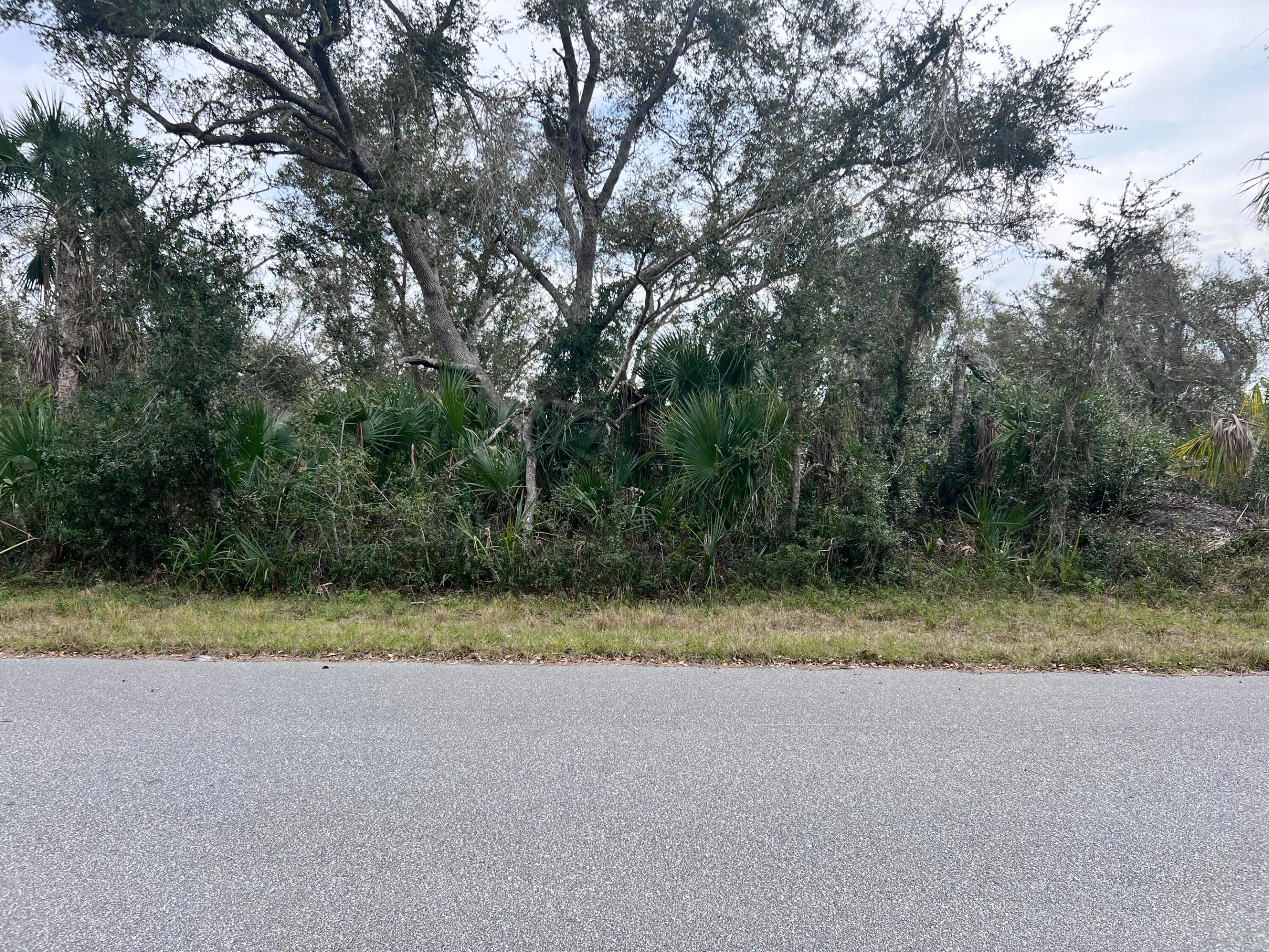 14447 Black Avenue, Port Charlotte, FL 33953, Port Charlotte