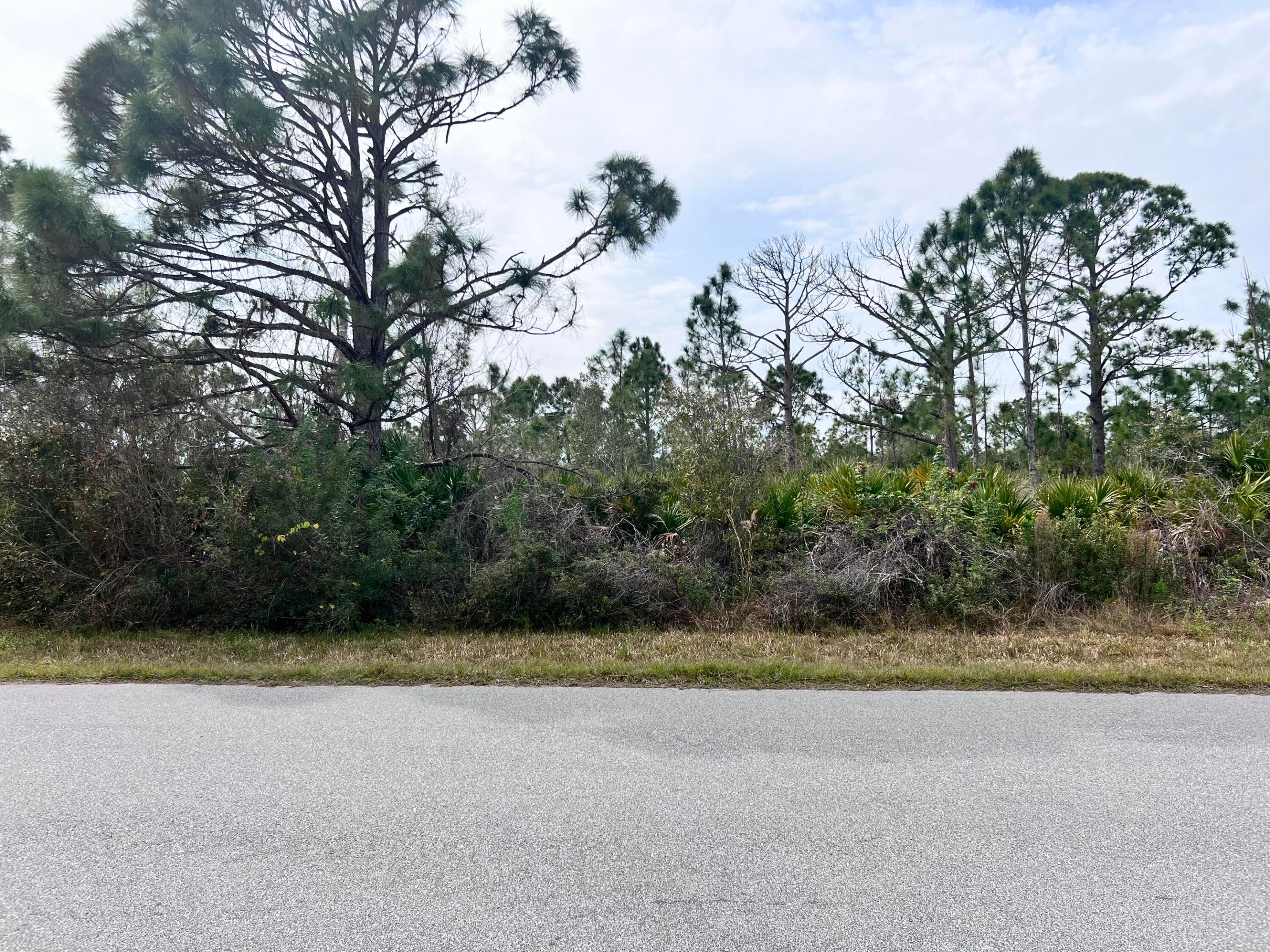 2135 Meetze Street, Port Charlotte, FL 33953, Port Charlotte