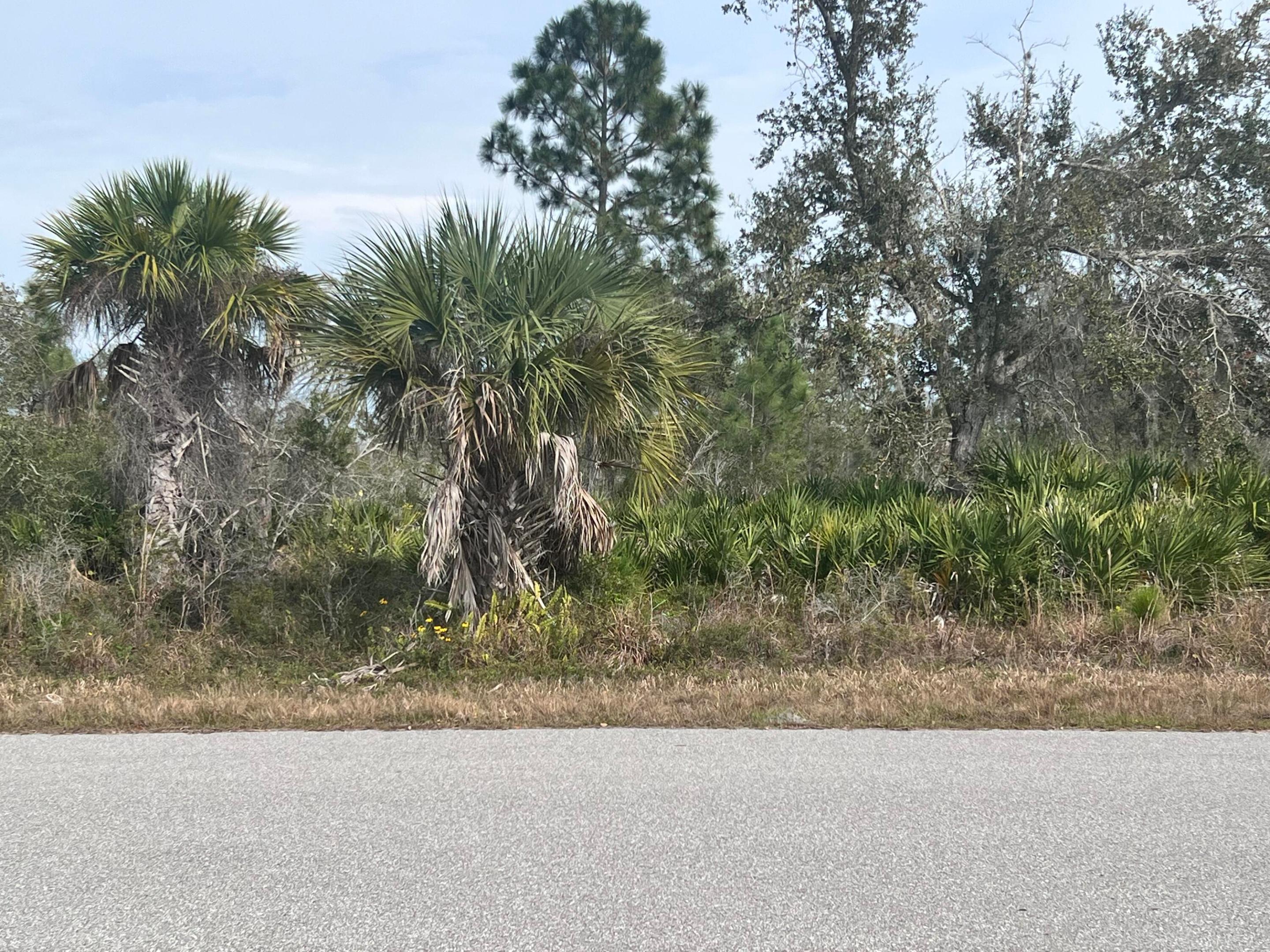 310 Halloran Street, Port Charlotte, FL 33953, Port Charlotte