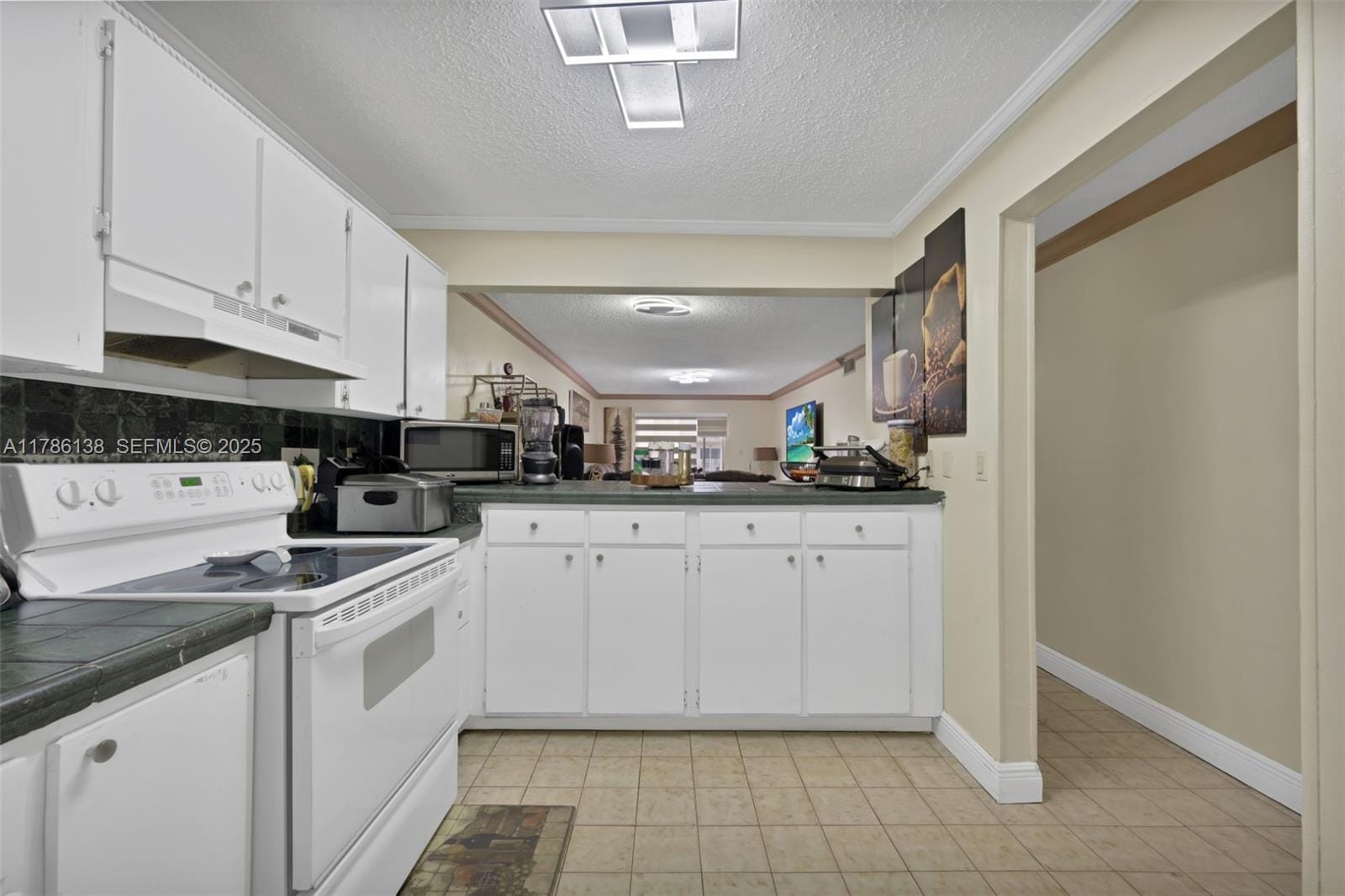 4670 W 13th Lane 207, Hialeah, FL 33012 photo 7