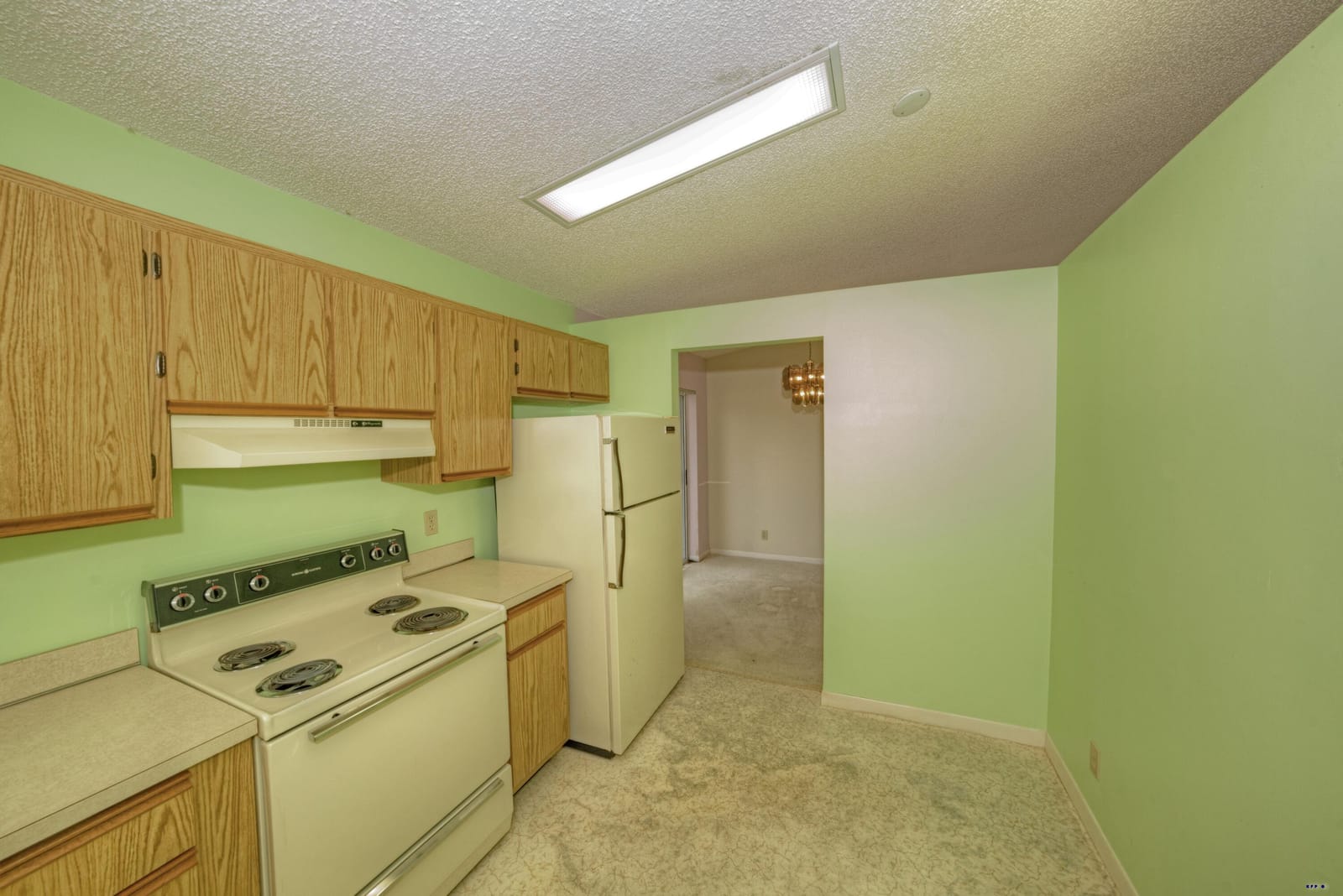 1236 Pine Sage Circle — photo 11