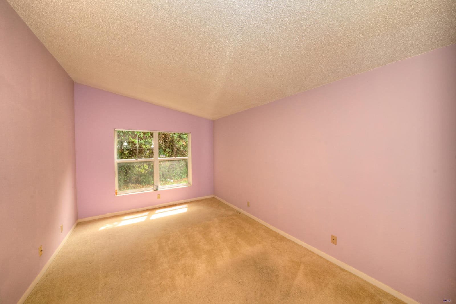 1236 Pine Sage Circle — photo 12