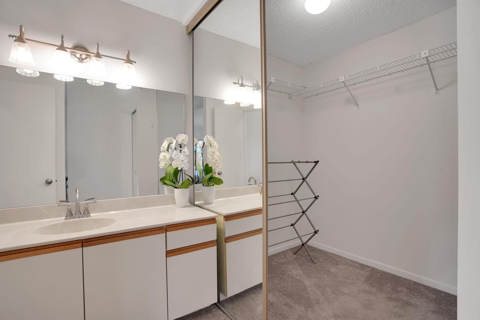 2556 Carambola Circle 1843 — photo 11