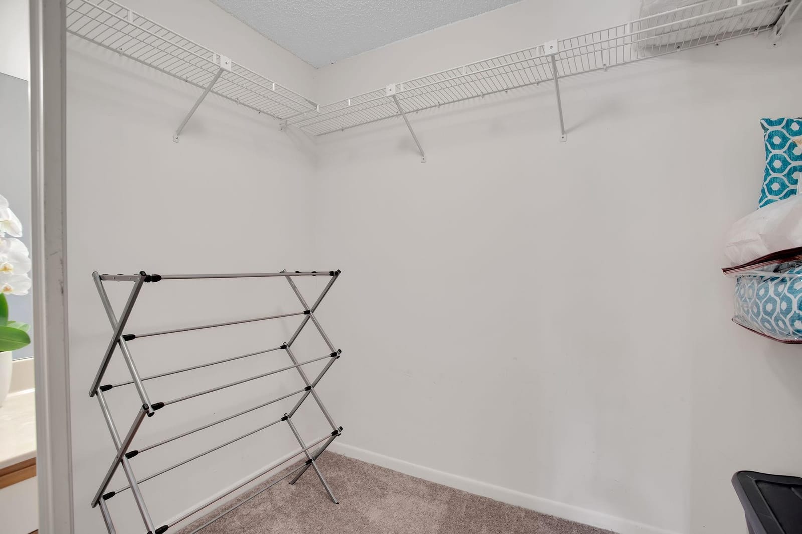 2556 Carambola Circle 1843 — photo 12