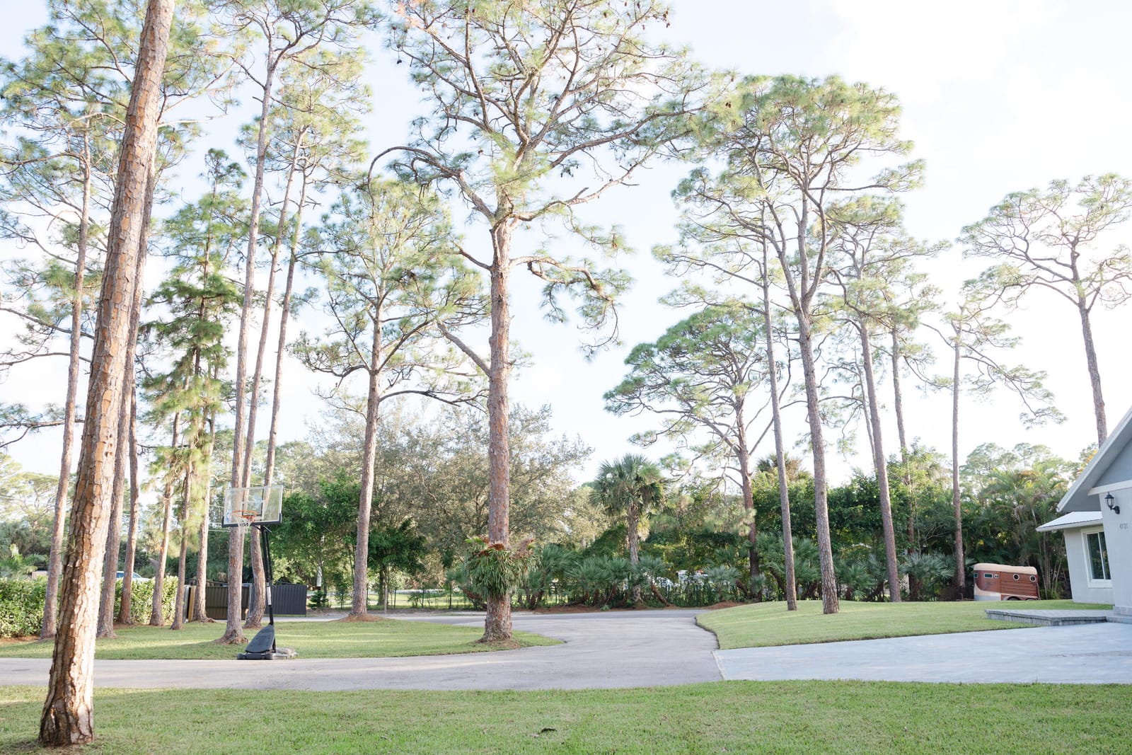 4721 Coconut Boulevard, The Acreage, FL 33411 photo 25