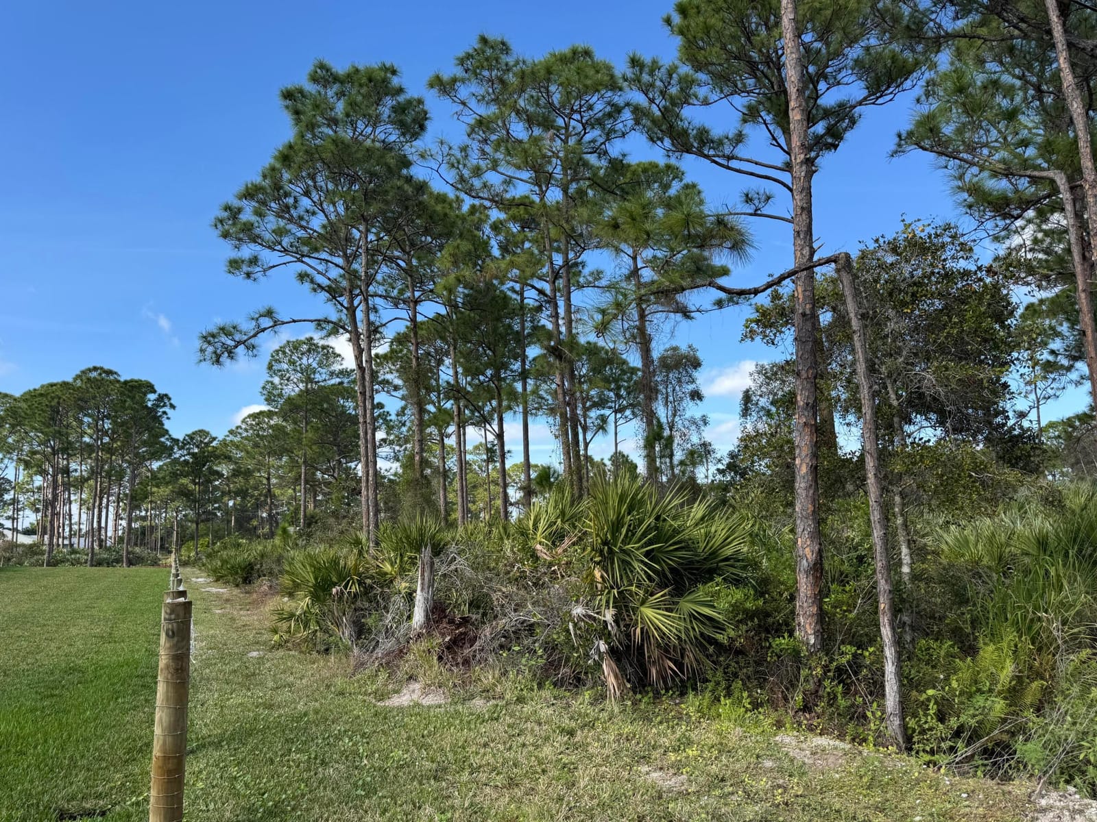 0 Tree Top Trail — photo 2